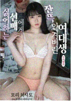 落地窗憋人物志设定集封面